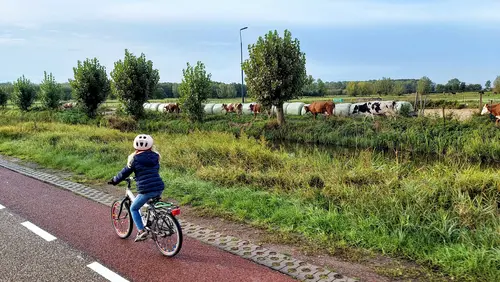 Als tijdverdrijf hielt Eva bij welke dieren we allemaal tegenkwamen. Hier de koeien,